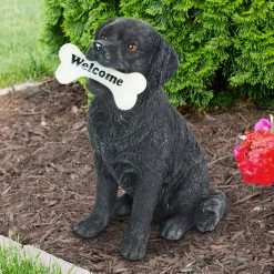 Hot Sale ๐ Best reviews of โค๏ธ Exhart Solar Black Labrador Retriever ๐ฆฎ ๐ถ Dog With LED Welcome Bone Garden Statuary, 14 Inch Tall ๐ ๐ 14 Hot Sale ๐ Best reviews of โค๏ธ Exhart Solar Black Labrador Retriever ๐ฆฎ ๐ถ Dog With LED Welcome Bone Garden Statuary, 14 Inch Tall ๐ ๐ -Exhart Shop Exhart Solar Black Labrador Retriever Dog with LED Welcome Bone Garden Statuary2C 14 Inch tall 2