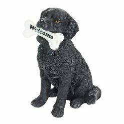 Hot Sale 😀 Best reviews of ❤️ Exhart Solar Black Labrador Retriever 🦮 🐶 Dog With LED Welcome Bone Garden Statuary, 14 Inch Tall 😀 😀