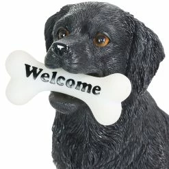 Hot Sale ๐ Best reviews of โค๏ธ Exhart Solar Black Labrador Retriever ๐ฆฎ ๐ถ Dog With LED Welcome Bone Garden Statuary, 14 Inch Tall ๐ ๐ 16 Hot Sale ๐ Best reviews of โค๏ธ Exhart Solar Black Labrador Retriever ๐ฆฎ ๐ถ Dog With LED Welcome Bone Garden Statuary, 14 Inch Tall ๐ ๐ -Exhart Shop Exhart Solar Black Labrador Retriever Dog with LED Welcome Bone Garden Statuary2C 14 Inch tall 4