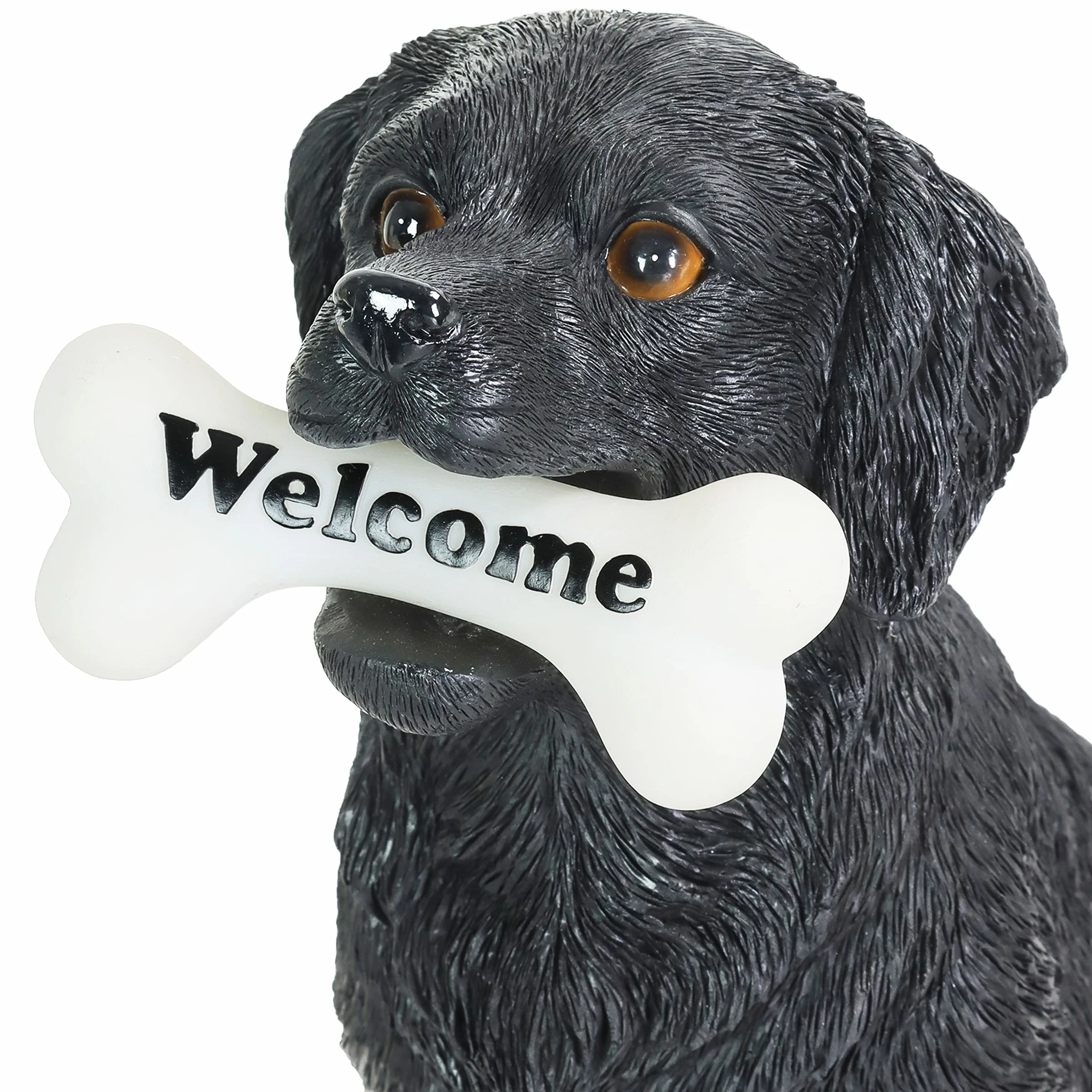 Hot Sale ๐ Best reviews of โค๏ธ Exhart Solar Black Labrador Retriever ๐ฆฎ ๐ถ Dog With LED Welcome Bone Garden Statuary, 14 Inch Tall ๐ ๐ 7 Hot Sale ๐ Best reviews of โค๏ธ Exhart Solar Black Labrador Retriever ๐ฆฎ ๐ถ Dog With LED Welcome Bone Garden Statuary, 14 Inch Tall ๐ ๐ - Image 5