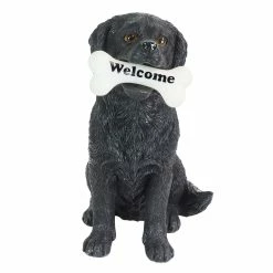 Hot Sale ๐ Best reviews of โค๏ธ Exhart Solar Black Labrador Retriever ๐ฆฎ ๐ถ Dog With LED Welcome Bone Garden Statuary, 14 Inch Tall ๐ ๐ 18 Hot Sale ๐ Best reviews of โค๏ธ Exhart Solar Black Labrador Retriever ๐ฆฎ ๐ถ Dog With LED Welcome Bone Garden Statuary, 14 Inch Tall ๐ ๐ -Exhart Shop Exhart Solar Black Labrador Retriever Dog with LED Welcome Bone Garden Statuary2C 14 Inch tall 6