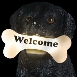 Hot Sale ๐ Best reviews of โค๏ธ Exhart Solar Black Labrador Retriever ๐ฆฎ ๐ถ Dog With LED Welcome Bone Garden Statuary, 14 Inch Tall ๐ ๐ 19 Hot Sale ๐ Best reviews of โค๏ธ Exhart Solar Black Labrador Retriever ๐ฆฎ ๐ถ Dog With LED Welcome Bone Garden Statuary, 14 Inch Tall ๐ ๐ -Exhart Shop Exhart Solar Black Labrador Retriever Dog with LED Welcome Bone Garden Statuary2C 14 Inch tall 7
