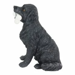 Hot Sale ๐ Best reviews of โค๏ธ Exhart Solar Black Labrador Retriever ๐ฆฎ ๐ถ Dog With LED Welcome Bone Garden Statuary, 14 Inch Tall ๐ ๐ 20 Hot Sale ๐ Best reviews of โค๏ธ Exhart Solar Black Labrador Retriever ๐ฆฎ ๐ถ Dog With LED Welcome Bone Garden Statuary, 14 Inch Tall ๐ ๐ -Exhart Shop Exhart Solar Black Labrador Retriever Dog with LED Welcome Bone Garden Statuary2C 14 Inch tall 8