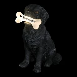 Hot Sale ๐ Best reviews of โค๏ธ Exhart Solar Black Labrador Retriever ๐ฆฎ ๐ถ Dog With LED Welcome Bone Garden Statuary, 14 Inch Tall ๐ ๐ 21 Hot Sale ๐ Best reviews of โค๏ธ Exhart Solar Black Labrador Retriever ๐ฆฎ ๐ถ Dog With LED Welcome Bone Garden Statuary, 14 Inch Tall ๐ ๐ -Exhart Shop Exhart Solar Black Labrador Retriever Dog with LED Welcome Bone Garden Statuary2C 14 Inch tall 9