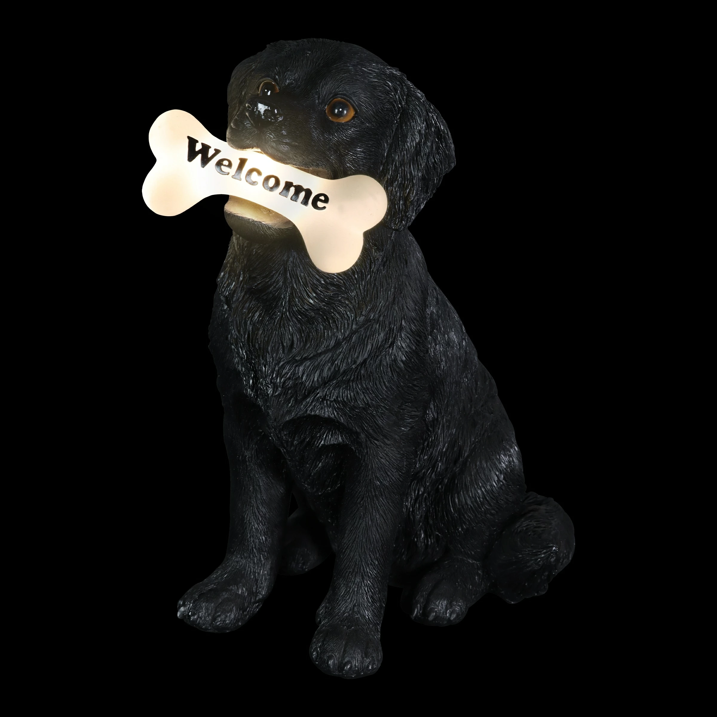 Hot Sale ๐ Best reviews of โค๏ธ Exhart Solar Black Labrador Retriever ๐ฆฎ ๐ถ Dog With LED Welcome Bone Garden Statuary, 14 Inch Tall ๐ ๐ 12 Hot Sale ๐ Best reviews of โค๏ธ Exhart Solar Black Labrador Retriever ๐ฆฎ ๐ถ Dog With LED Welcome Bone Garden Statuary, 14 Inch Tall ๐ ๐ - Image 10
