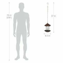 Best Pirce βοΈ Coupon π Exhart Solar Bronze Bird Feeder In Clear Diamond Glass Pattern With Four LED Lights π π 20 Best Pirce βοΈ Coupon π Exhart Solar Bronze Bird Feeder In Clear Diamond Glass Pattern With Four LED Lights π π -Exhart Shop Exhart Solar Bronze Bird Feeder in Clear Diamond Glass Pattern with Four LED Lights 3