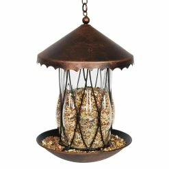 Best Pirce βοΈ Coupon π Exhart Solar Bronze Bird Feeder In Clear Diamond Glass Pattern With Four LED Lights π π 23 Best Pirce βοΈ Coupon π Exhart Solar Bronze Bird Feeder In Clear Diamond Glass Pattern With Four LED Lights π π -Exhart Shop Exhart Solar Bronze Bird Feeder in Clear Diamond Glass Pattern with Four LED lights 6