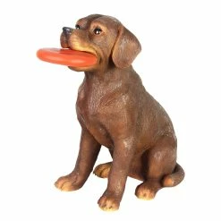 Cheapest ✨ Brand new 🛒 Exhart Solar Chocolate Labrador Retriever 🐶 🐕 Dog With LED Frisbee Garden Statuary, 14 Inch Tall 😉 ❤️