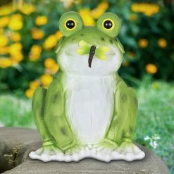 Brand new β¨ Budget β€οΈ Exhart Solar Frog With Dragonfly Garden Statue, 8 Inch π π 13 Brand new β¨ Budget β€οΈ Exhart Solar Frog With Dragonfly Garden Statue, 8 Inch π π -Exhart Shop Exhart Solar Frog With Dragonfly Garden Statue2C 8 Inch 2