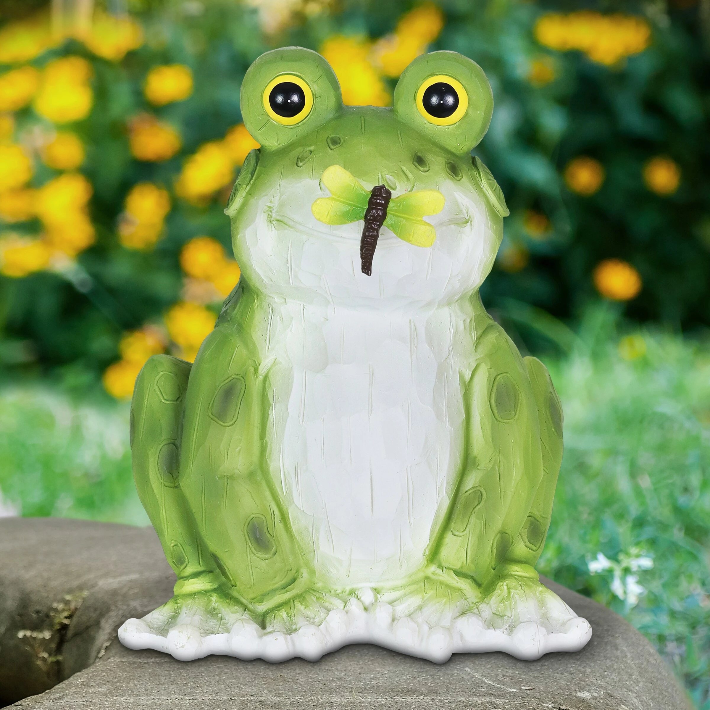 Brand new β¨ Budget β€οΈ Exhart Solar Frog With Dragonfly Garden Statue, 8 Inch π π 5 Brand new β¨ Budget β€οΈ Exhart Solar Frog With Dragonfly Garden Statue, 8 Inch π π - Image 3