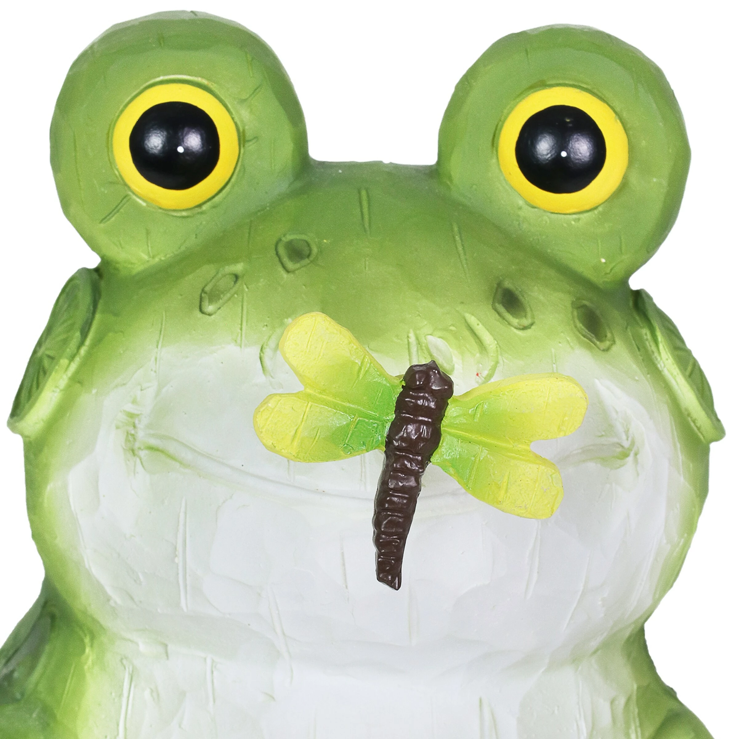 Brand new β¨ Budget β€οΈ Exhart Solar Frog With Dragonfly Garden Statue, 8 Inch π π 7 Brand new β¨ Budget β€οΈ Exhart Solar Frog With Dragonfly Garden Statue, 8 Inch π π - Image 5