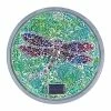 New ⌛ Flash Sale 🔔 Exhart Solar Mosaic Glass Dragonfly In Cement Stepping Stone, 10.5 Inches 🌟 ⭐