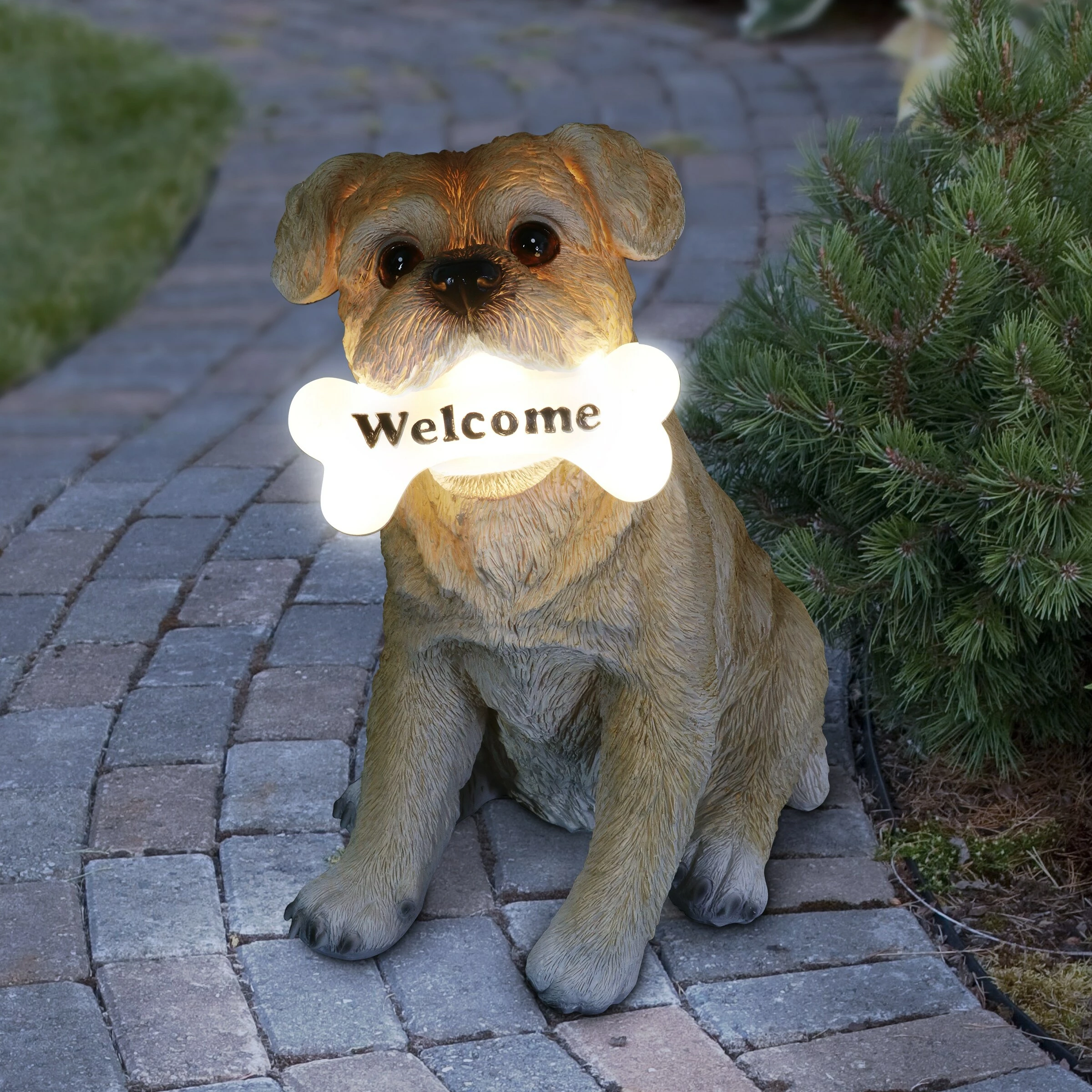 Deals π₯° Best deal π Exhart Solar Terrier With LED Welcome Bone Garden Statuary, 7.5 By 13 Inches π€© β¨ - Image 2